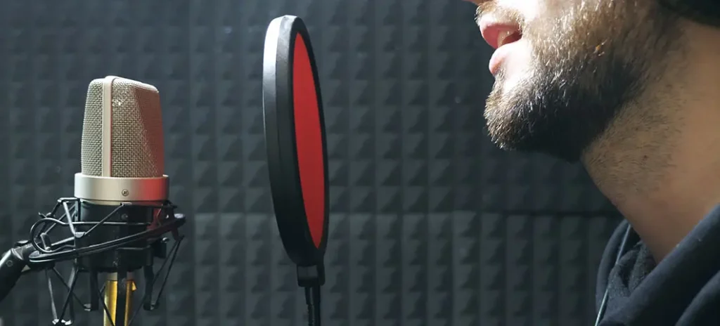 Audio recording pop filters feature